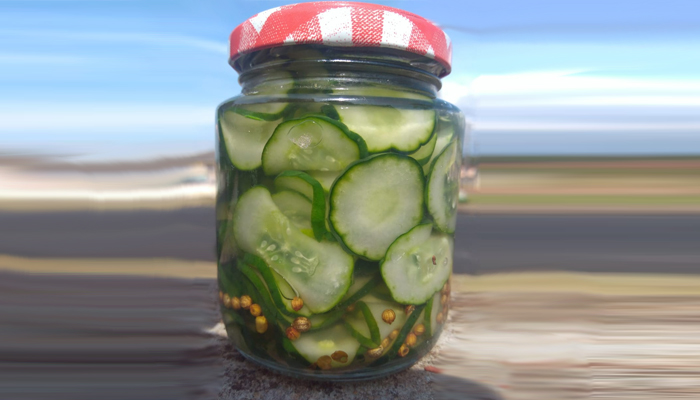 Salada de Pepino